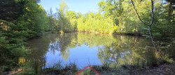 vente Terrain boisé – forêt Nouan Le Fuzelier