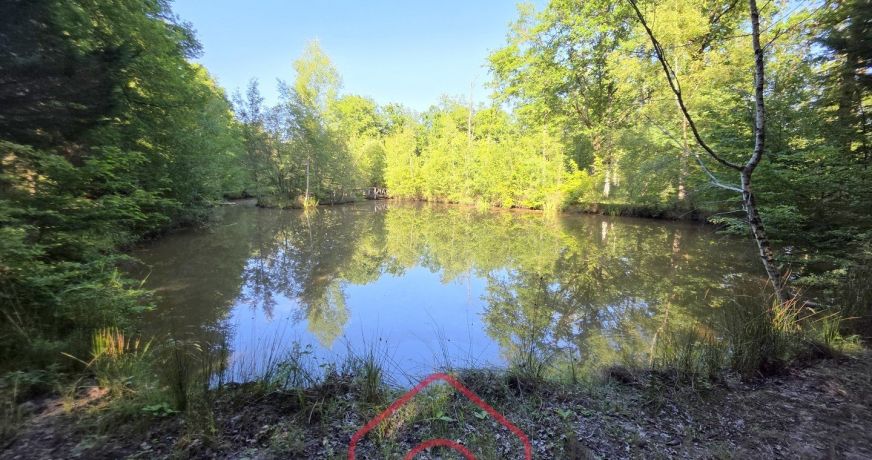vente Terrain boisé – forêt Nouan Le Fuzelier
