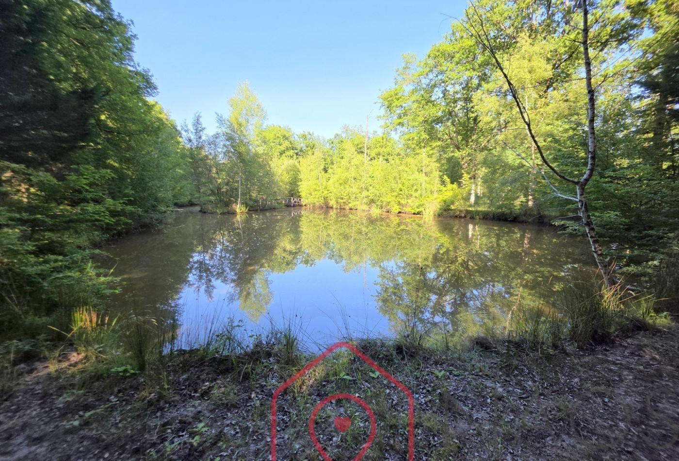 vente Terrain boisé – forêt Nouan Le Fuzelier - Photo 2