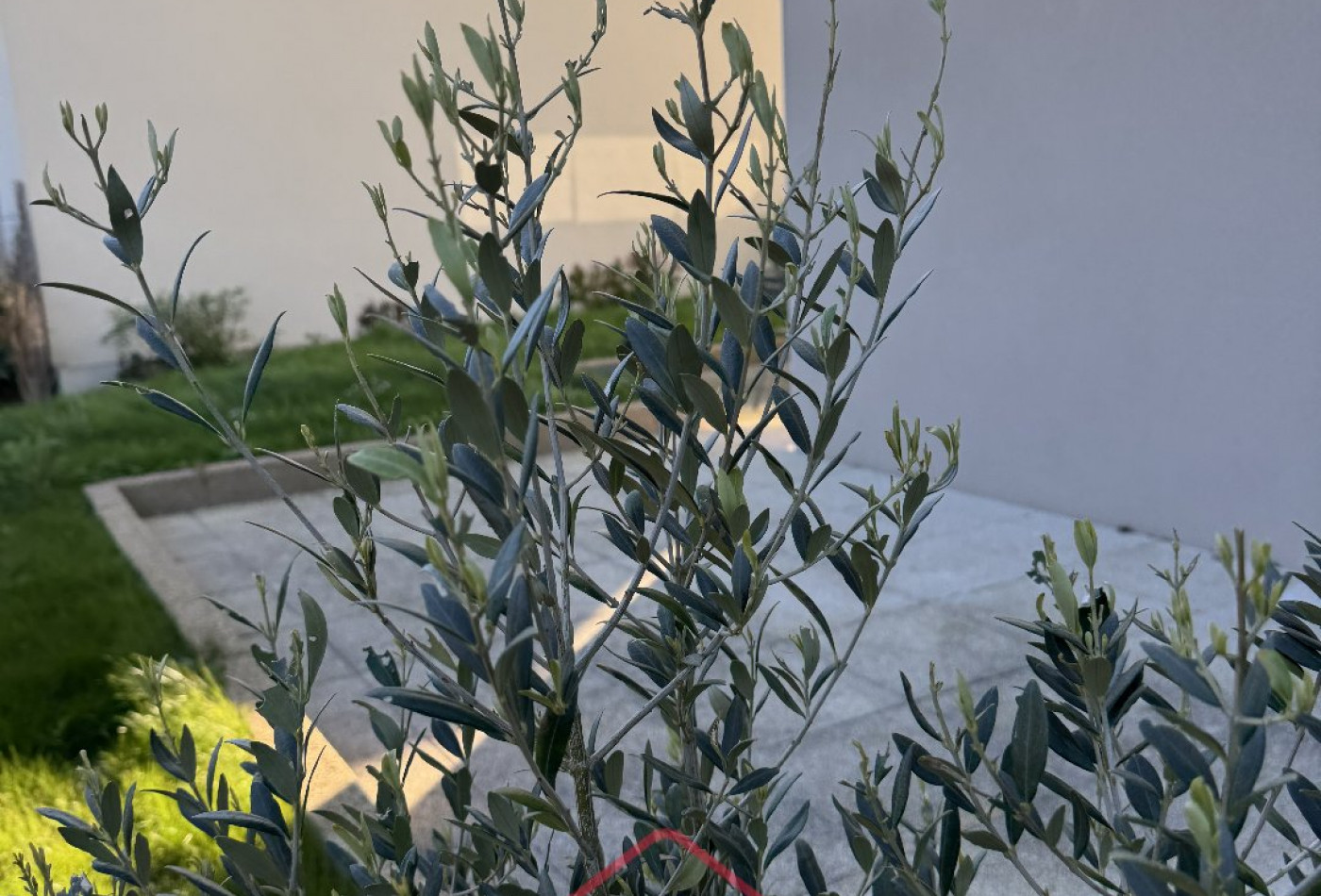 vente Appartement en rez de jardin Dinard - Photo 8