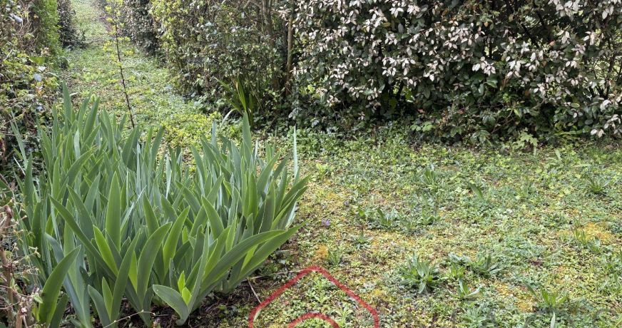 vente Appartement Saint Pierre Les Nemours