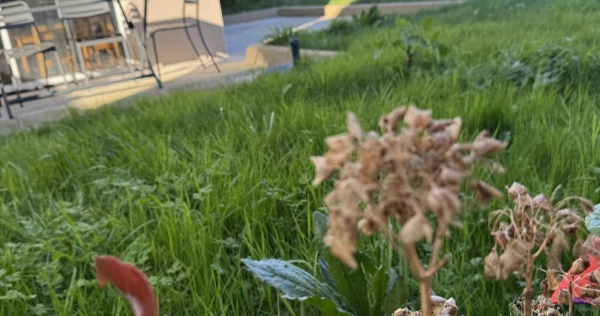 vente Appartement en rez de jardin Dinard