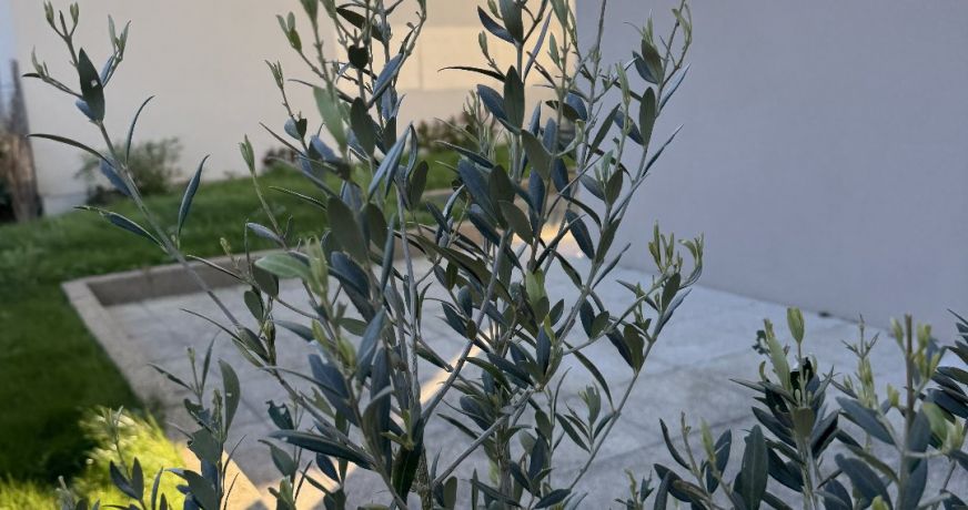 vente Appartement en rez de jardin Dinard