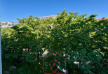 vente Appartement Paris 13eme Arrondissement