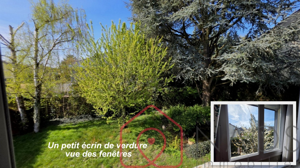 vente Maison individuelle Saint Jean De La Ruelle - Photo 4