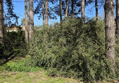 vente Terrain diffus (hors lotissement) Mignaloux Beauvoir