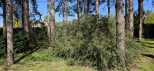 vente Terrain diffus (hors lotissement) Mignaloux Beauvoir