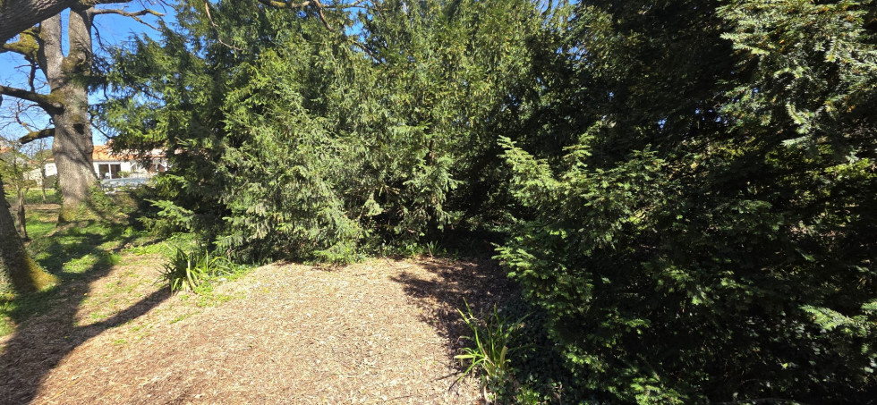 vente Terrain diffus (hors lotissement) Mignaloux Beauvoir - Photo 4
