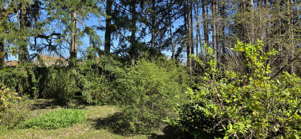 vente Terrain diffus (hors lotissement) Mignaloux Beauvoir - Photo 5