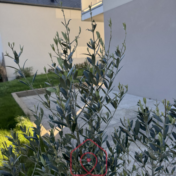 vente Appartement en rez de jardin Dinard - Photo 8