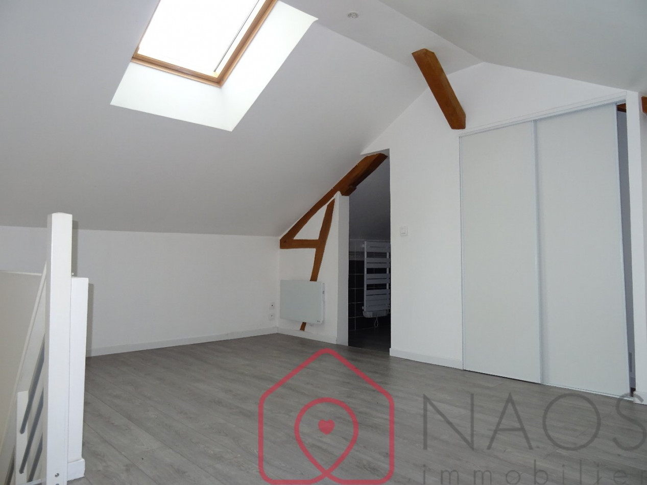 location Appartement Aubigny Sur Nere - Photo 4