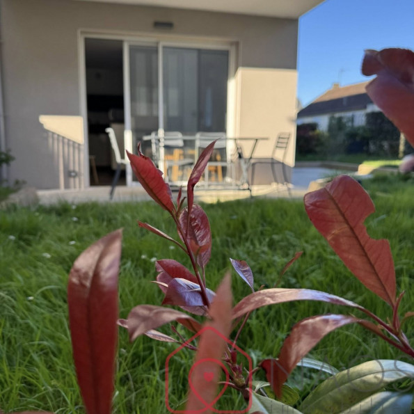 vente Appartement en rez de jardin Dinard - Photo 5