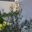vente Appartement en rez de jardin Dinard