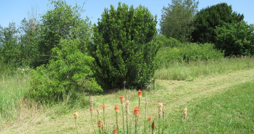 vente Maison de village Avoise
