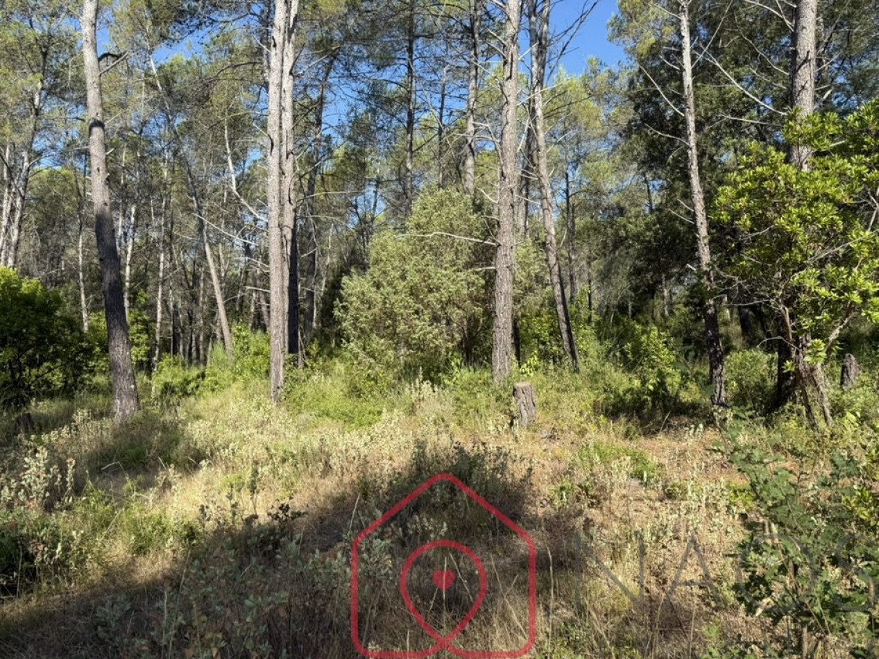 vente Terrain Bagnols En Foret - Photo 1