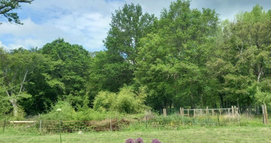 vente Propriété Savigny En Sancerre