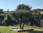 vente Maison Oraison