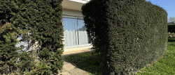 vente Appartement en rez de jardin Dinard