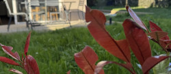 vente Appartement en rez de jardin Dinard