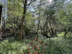 vente Terrain industriel Beauchamps