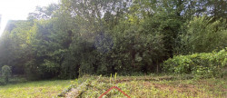 vente Maison Nouzonville