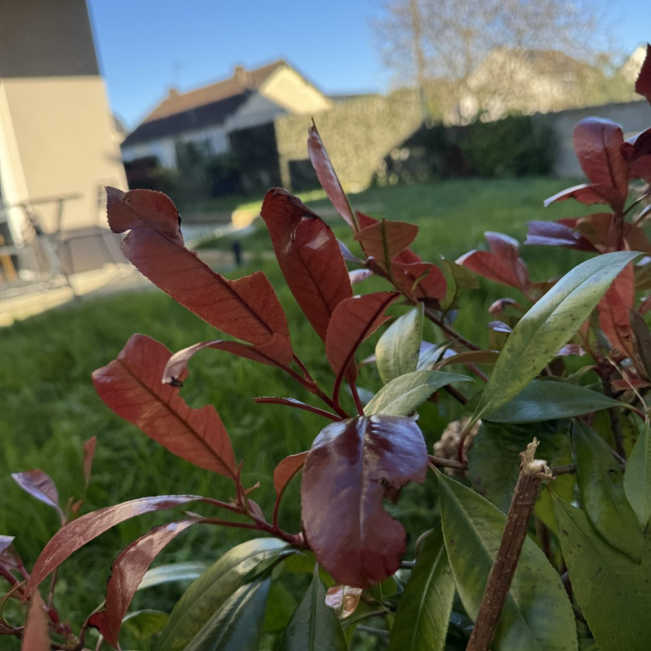 vente Appartement en rez de jardin Dinard - Photo 9