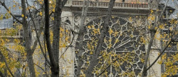 vente Local commercial Paris 5eme Arrondissement