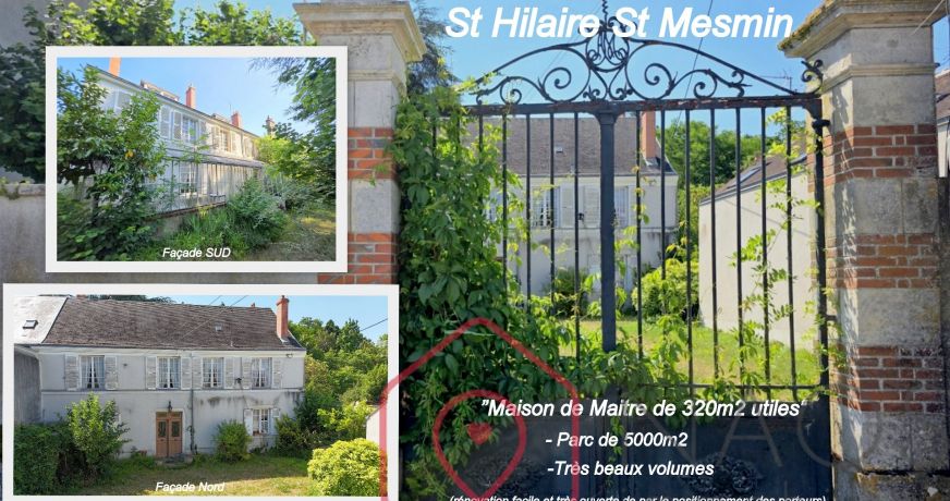 vente Maison de maître Saint Hilaire Saint Mesmin