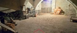 vente Maison de maître Saint Hilaire Saint Mesmin