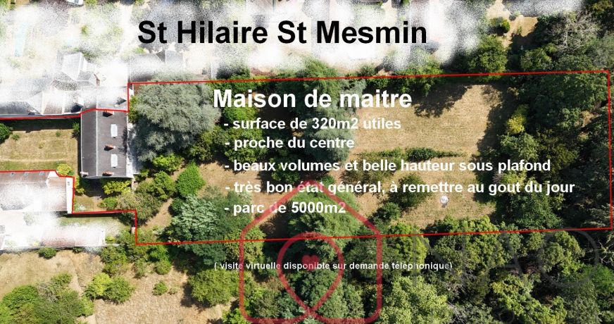 vente Maison de maître Saint Hilaire Saint Mesmin