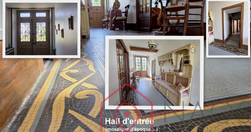 vente Maison de maître Saint Hilaire Saint Mesmin