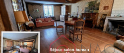 vente Maison de maître Saint Hilaire Saint Mesmin