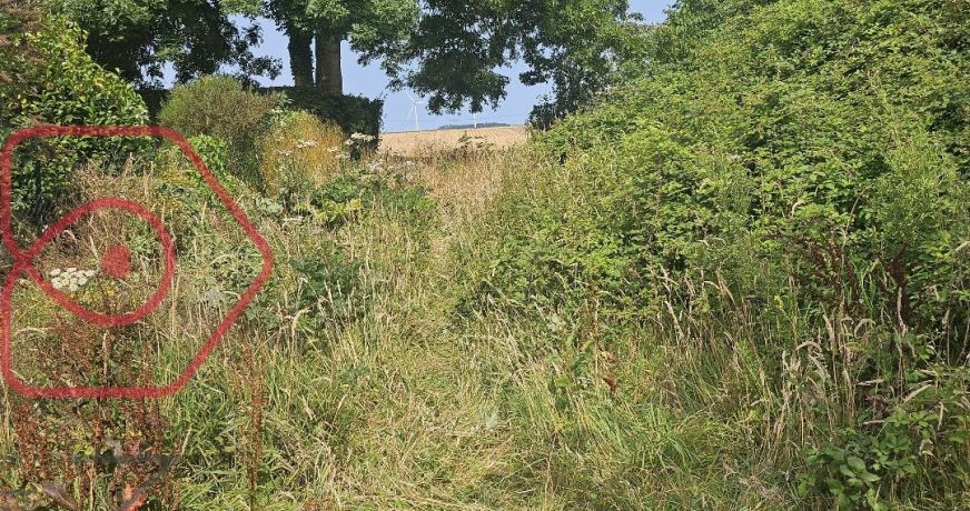 vente Maison à rénover Criel Sur Mer