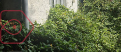 vente Maison à rénover Criel Sur Mer