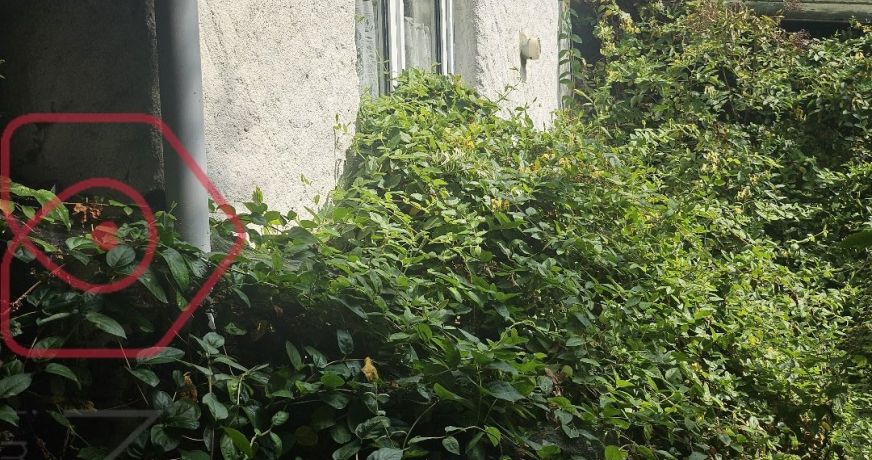 vente Maison à rénover Criel Sur Mer