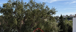 vente Maison Saint Aygulf