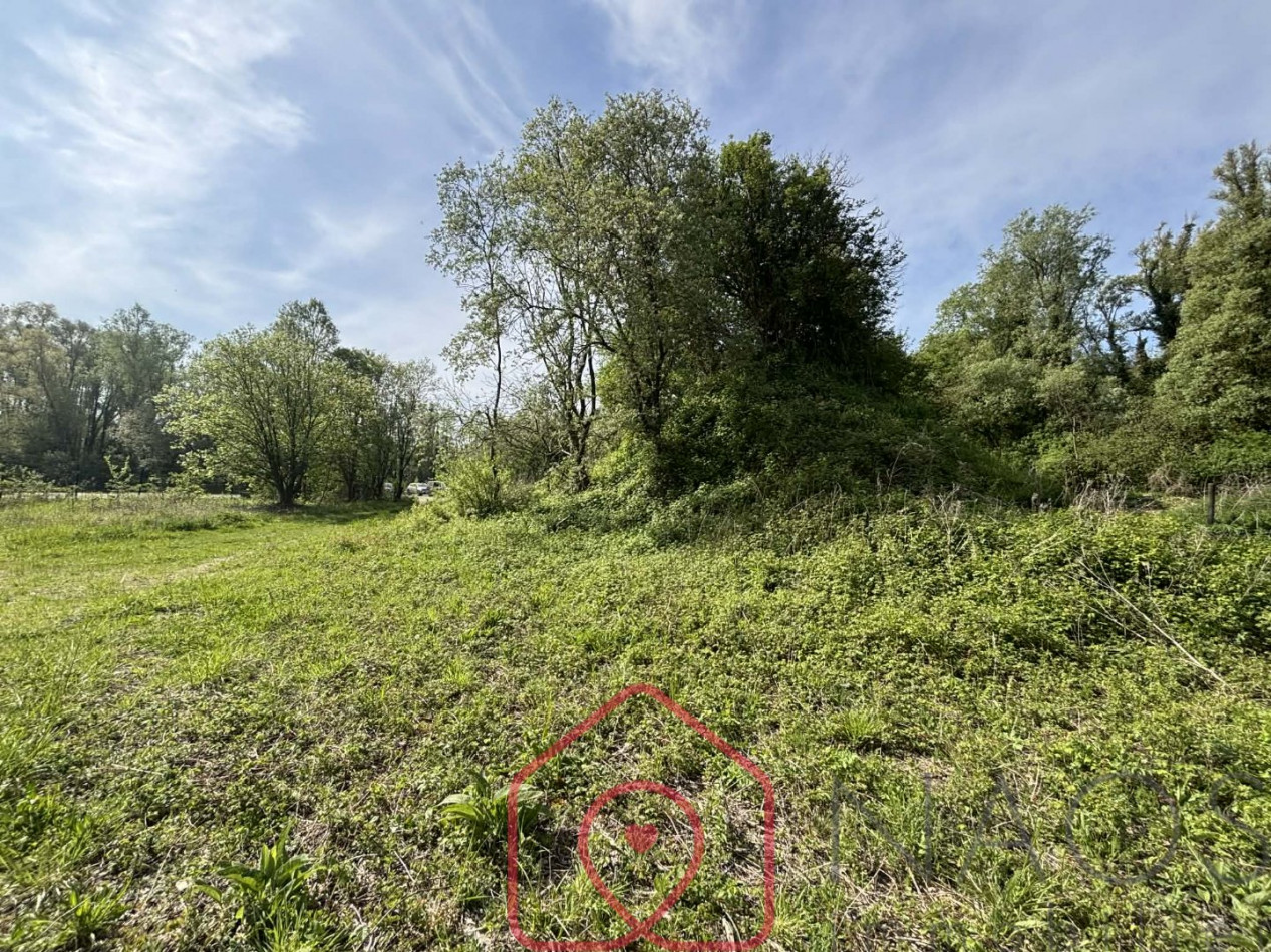 vente Terrain industriel Beauchamps - Photo 6
