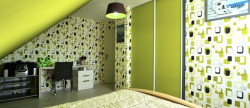 vente Maison Saone