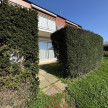 vente Appartement en rez de jardin Dinard