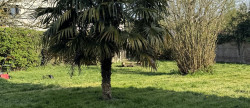 vente Ensemble immobilier Retiers