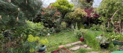 vente Maison Criel Sur Mer