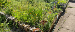 vente Maison Mesnil Val