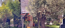 vente Maison Cavalaire Sur Mer