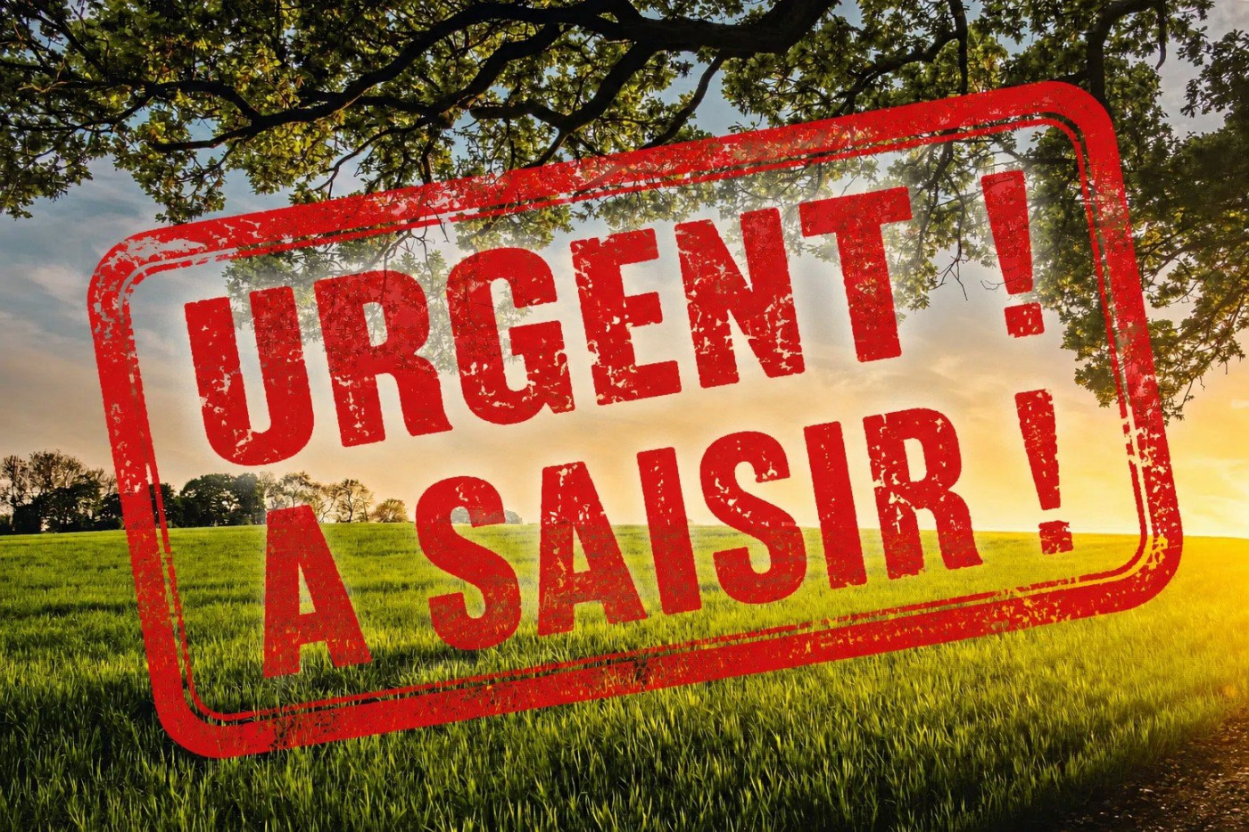 vente Terrain Saone - Photo 1