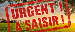 vente Terrain Saone