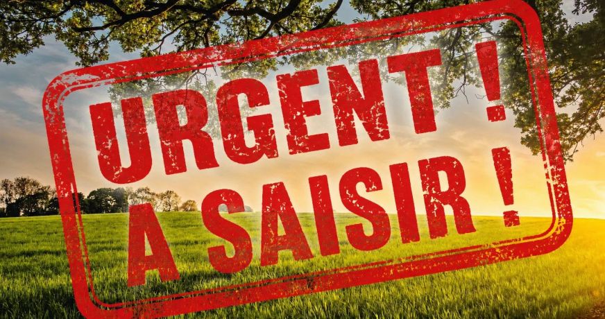 vente Terrain Saone