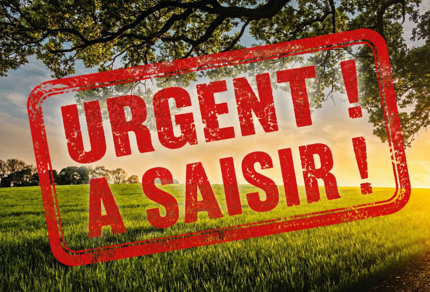 vente Terrain Saone - Photo 1