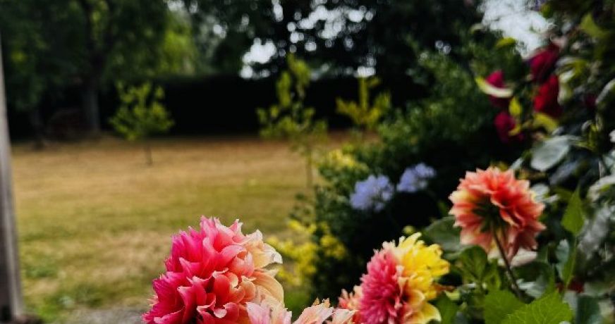 vente Maison et terrain Dinard