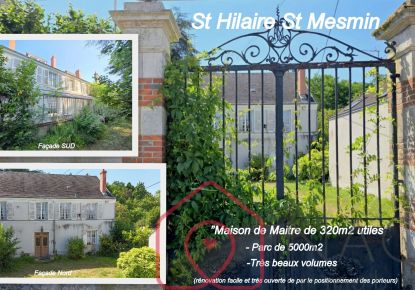 vente Maison de maître Saint Hilaire Saint Mesmin