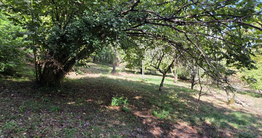 vente Maison Montmorillon